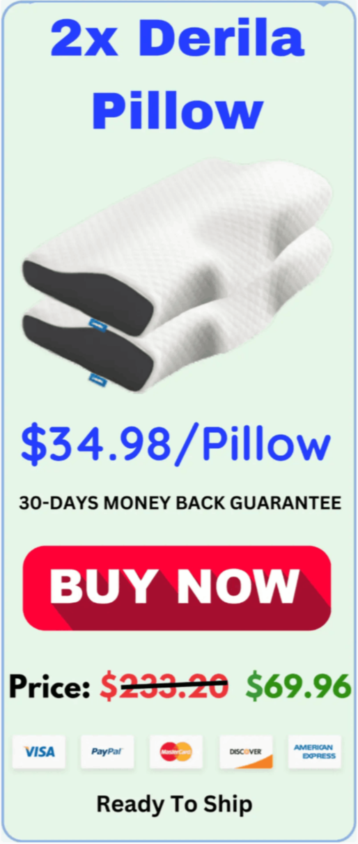 Derila Pillow best Price